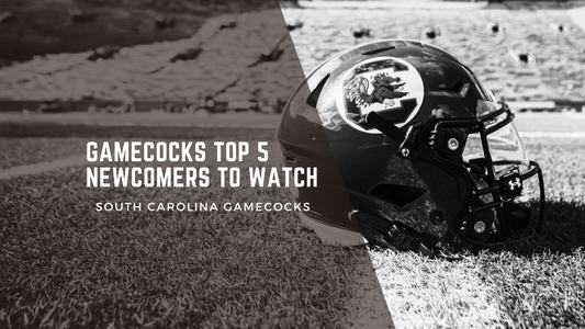 Gamecocks Top 5 Newcomers to Watch