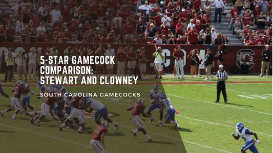 5-Star Gamecock Comparison: Dylan Stewart and Jadeveon Clowney